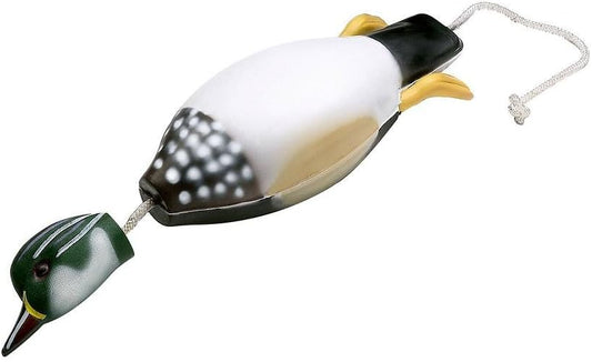 Dokken Wood Duck Dead Fowl