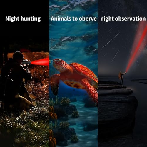 2 Pack LED Rechargeable Red Flashlight, LED Small 395 NM Black Flashlight with Memory Function, Super Bright Zoomable Red Light Black Lights Flashlights with USB C Charging for Camping Hiking Home