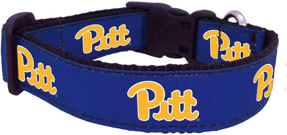 NCAA Pittsburgh Panthers Dog Collar (Team Color, Medium)