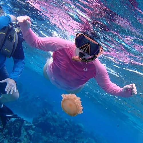 Snorkeling Gear for Adults, Dry-Top Snorkel Set Scuba Diving mask, 180¡ÆPanoramic Wide View Professional Snorkeling Gear Breathing Freely Snorkel Mask