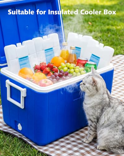 Reusable Gel Ice Packs for Cooler and Lunch Box - Set of 4 Slim Freezable Ice Packs