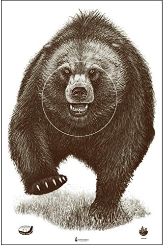 Alaska State Parks Bear Target
