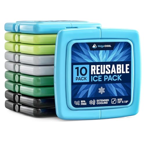 4 Pack Reusable Large Ice Packs for Cooler, Long-Lasting Freezer Packs for Camping and Travel - Variation of Lunch Boxes 10 Pack