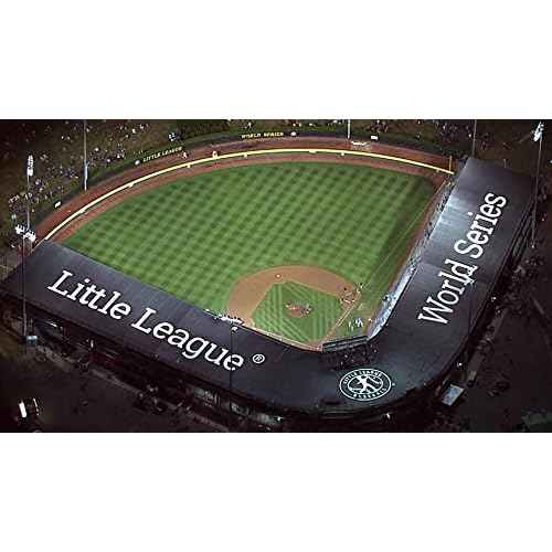 Spalding Little League RST Baseball