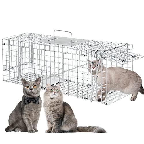 32 Inch Live Animal Trap for Raccoons & Cats - Heavy-Gauge Steel, Easy Setup