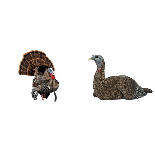 Avian-X HDR Strutter Turkey Decoy with 2 Removable Heads & LCD Laydown Hen Turkey Decoy with Carry Bag & Stake Hunting Decoy Bundle