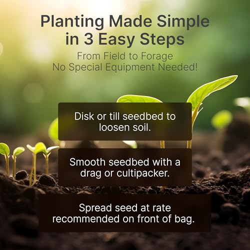 Extreme Forage Brassica Food Plot Seeds - 3 lbs Pack for Deer, 1/2 Acre