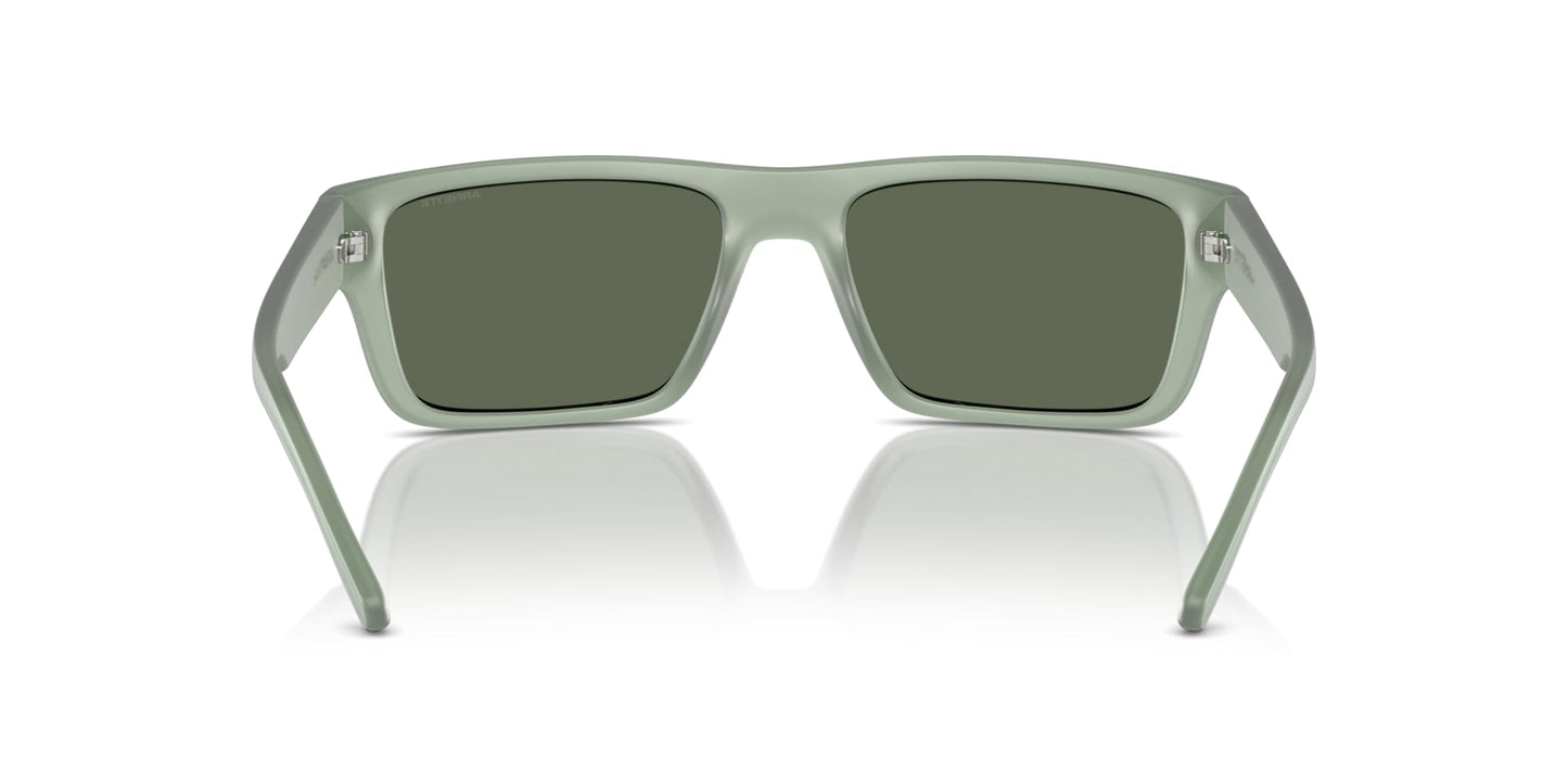 ARNETTE Sunglasses AN 4338 293971 Frosted Sage/Dark Green Policarbonate Standa