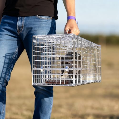 Humane Animal Trap Cage for Cats and Small Animals - Silver, 25.59x9.05x9.84 Inches - Folding Catch and Release Design