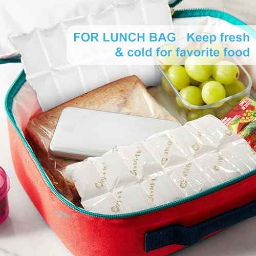 Ice Packs for Shipping Frozen Food, No Smoke Effect, 5 Sheets, Ice Packs for Coolers Long Lasting Reusable, Lunch Box Shipping Cold Pack Gel Freezer Packs Ice Blankets Sheets, 13.7"X7.2"