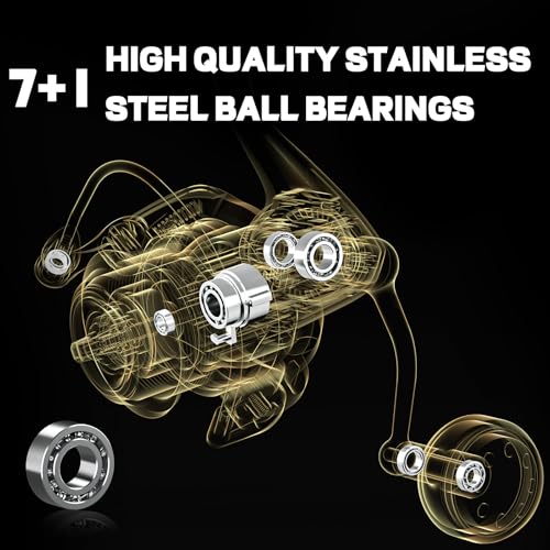 Ashconfish DF Series Spinning Reel Saltwater & Freshwater Fishing Reel, 2000 Deep Spool, Lightweight Nylon/Fiberglass Frame, 7+1BB, 5.2:1 Gear Ratio