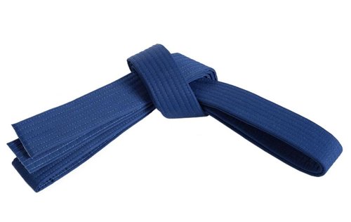 Mastery Leadership (blue belt, 3)