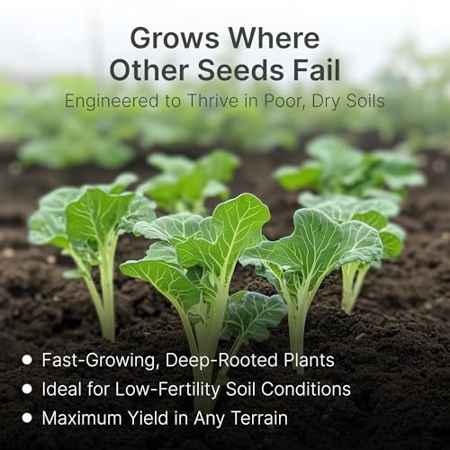 Extreme Forage Brassica Food Plot Seeds - 3 lbs Pack for Deer, 1/2 Acre