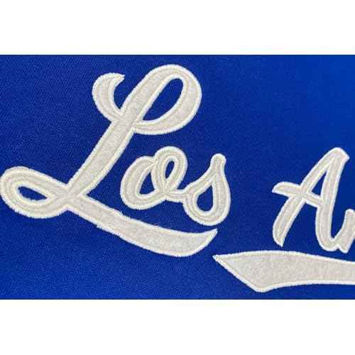 DELUSPTOMAY Mens Baseball Team Embroidery Hooded Sweatshirt Casual Hoodie
