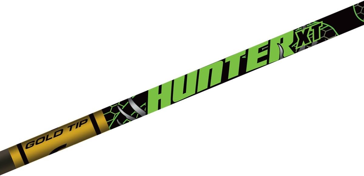Gold Tip Hunter XT Arrows with 2-Inch Raptor Vanes (1-Dozen), Color May Vary