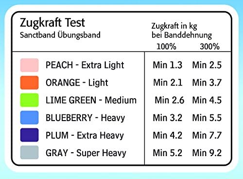 RESISTIVE Band 3 in 1 Dispenser - 5FT Bands - Light (Orange) / Medium (Lime Green) / Heavy (Blueberry) - 15 Pieces of Each Color. Total 45 Pieces.