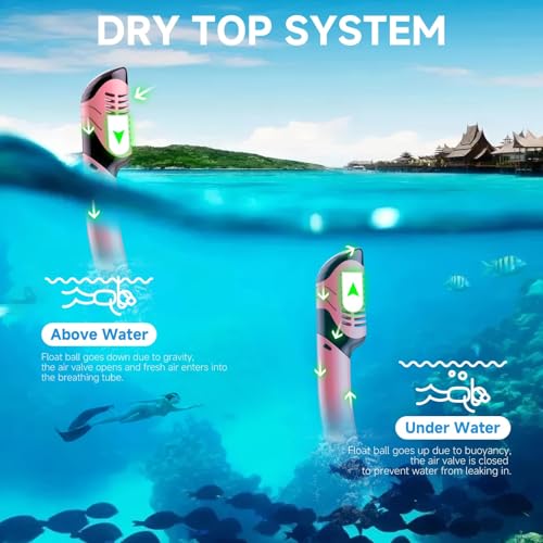 Snorkeling Gear for Adults, Dry-Top Snorkel Set Scuba Diving mask, 180¡ÆPanoramic Wide View Professional Snorkeling Gear Breathing Freely Snorkel Mask