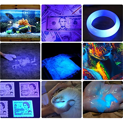 UV Blacklight Flashlight 365nm with Rechargeable USB for Detection & Outdoor Use