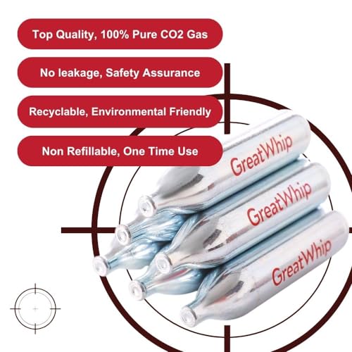 GreatWhip 25 x 12g CO2 Cartridges Non-Threaded Compatible to CO2 BB Gun, Air Gun, Airsoft Gun, Air Pistol, Air Rifle (25 Count)