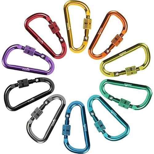 6pcs 2¡±D-Clip Durable Locking Carabiner Keychain Clip with Hook