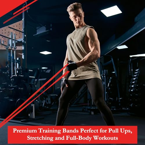 Foilswirl Resistance Bands 8 Pack with 15-35 Ibs Red Variation for Workout