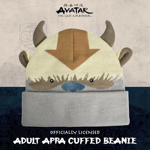 Avatar The Last Airbender Knitted Winter Beanie Hat Multi One Size - Concept One