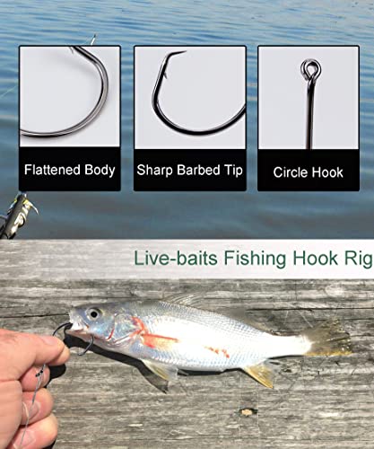 Saltwater Fishing Circle Hooks 1/0, 50 Pcs Offset Leader Rig Set