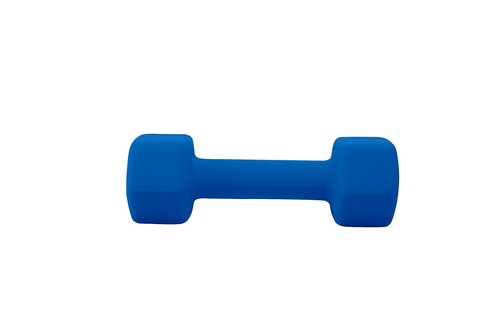 doubob Weights Dumbbells set of 2 Fitness for Man Woman Home Gym Health Exercise 10LB Blue Rubber Hex Dumb Bells
