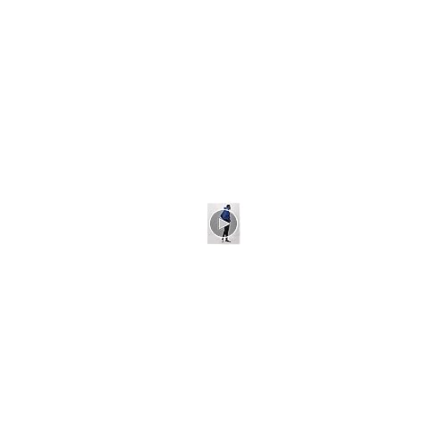 Champion Mens Reverse Weave Joggers, C Logo