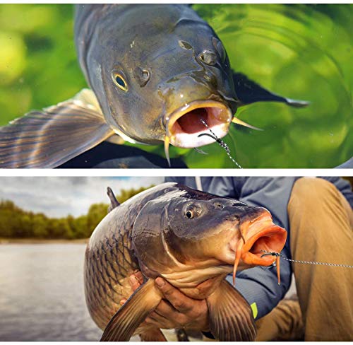 Green Carp Fishing Hair Rigs Kit 24PCS - Wide Gape Hooks, Zig Rigs, Carp Accessories Size 2,4,6,8