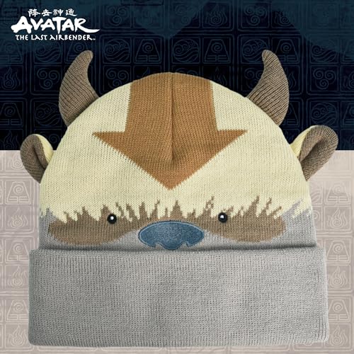 Avatar The Last Airbender Knitted Winter Beanie Hat Multi One Size - Concept One