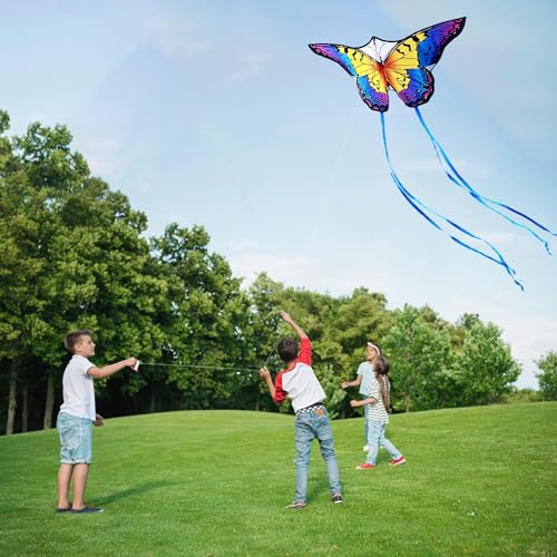 Honbo Rainbow Butterfly Kites for Kids & Adults, Easy to Fly, 300ft Line, Beginner Outdoor Kites for Family & Beach