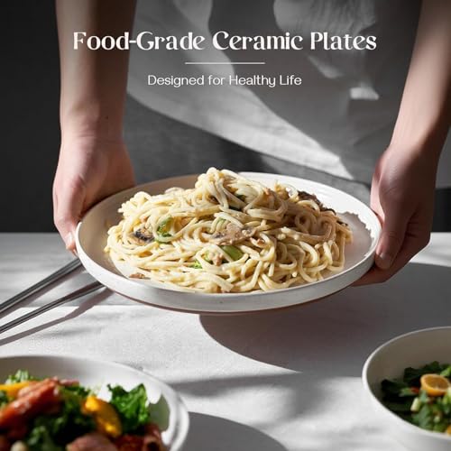 10.5 Inch Large Dinner Plates Set of 6 - White Ceramic, Microwave & Dishwasher Safe