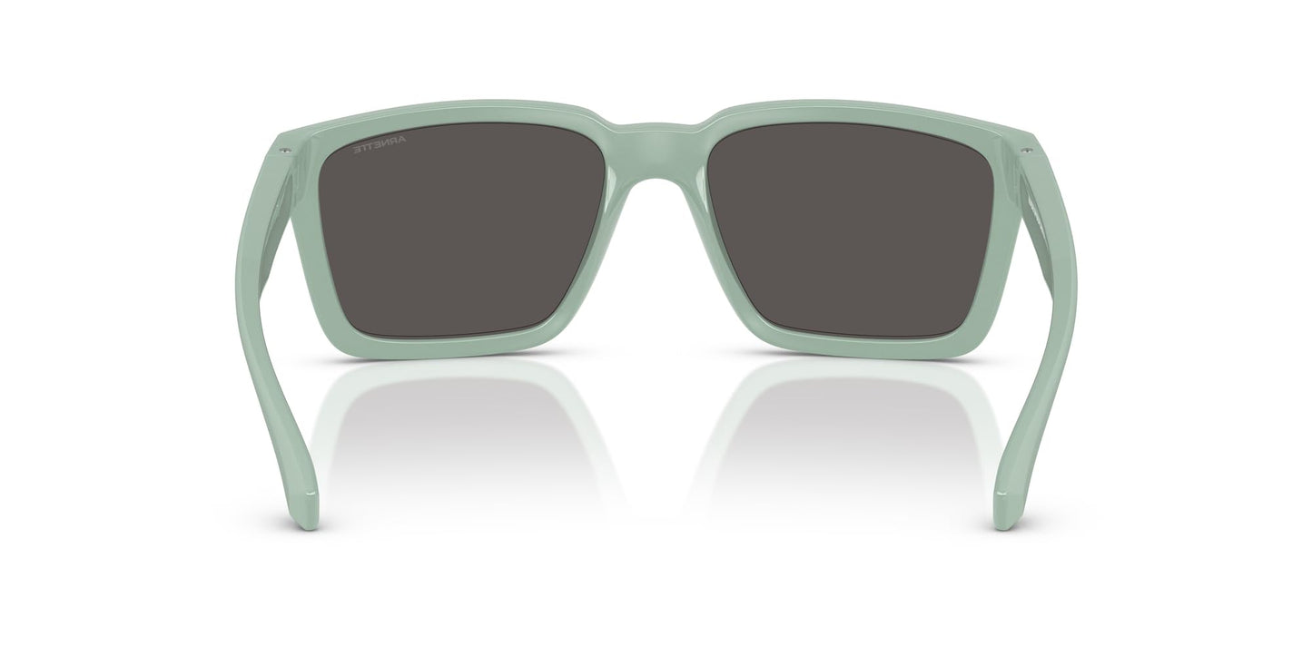 ARNETTE Sunglasses AN 4346 296487 Mint Matte Top/Shiny/Dark Grey Policarbonate