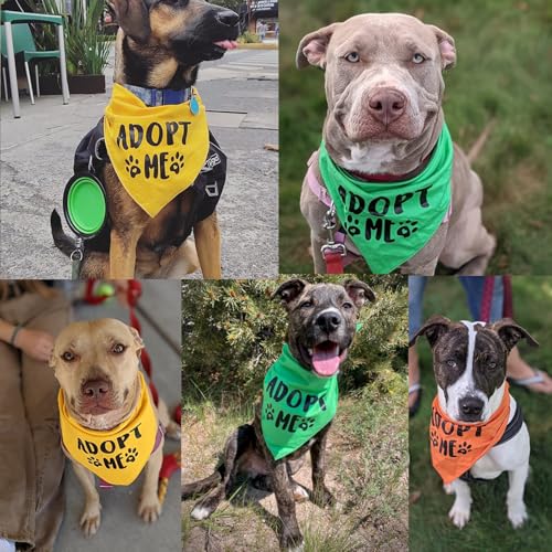 Adopt Me Dog Bandana Set of 3 - Bright Colors for Medium to Large Dogs - Pack of 3