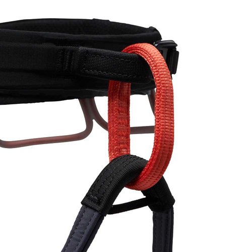Men's Climbing Harness by Black Diamond
