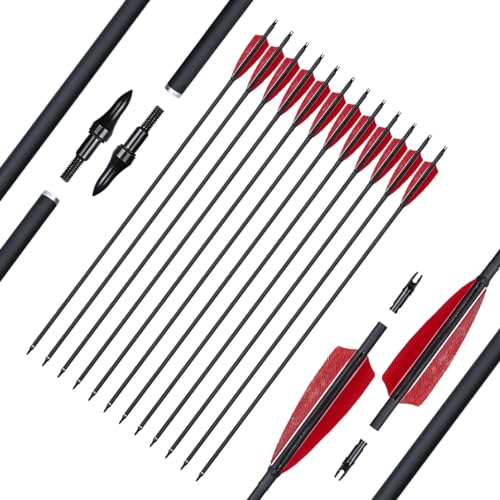 12 Pcs Archery Arrow Set with Feathers and Removable Tips for Recurve Longbow and Compound Bow - 30 Inch