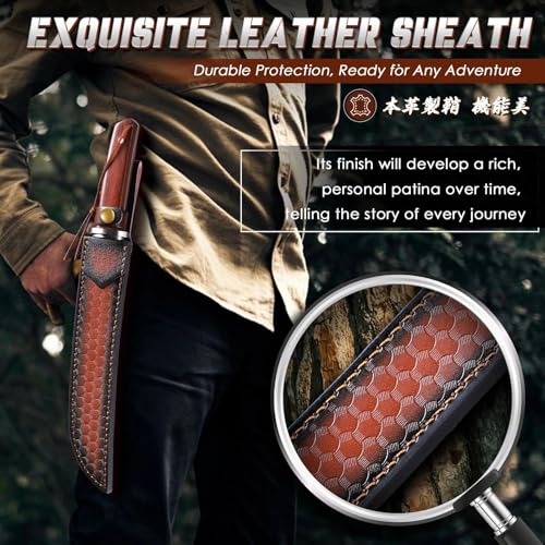 9.8 Inch Japanese Tanto Knife Fixed Blade with Rosewood Handle & Leather Sheath