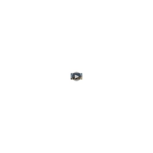Body Glove Women's Smoothies Athena Solid Low Rise Cheeky Bikini Bottom Swimsuit