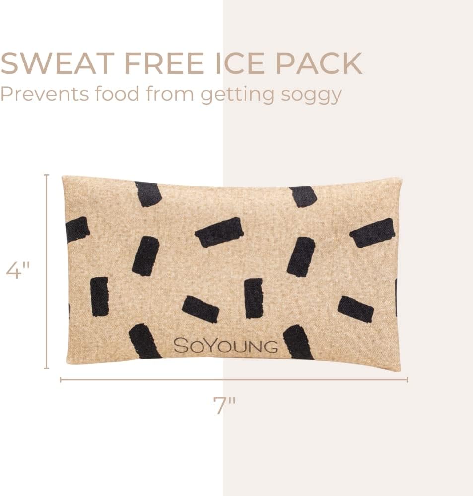 SoYoung Ice Pack - Adults - Kids - Lunch Boxes - Coolers - Backpacks - Eco-Friendly - Non-Toxic - Blue Dinosaur