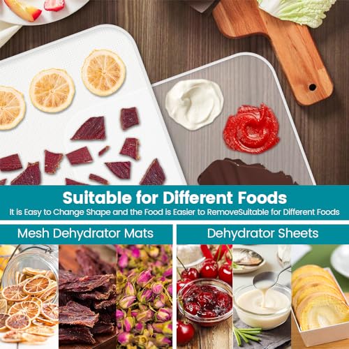 Silicone Food Dehydrator Trays Set with Mesh Mats 11x11in - 8 Pcs