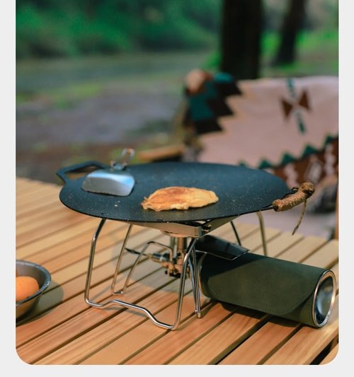 Takelablaze Camp Grill Portable Outdoor Grill Stainless Steel Folding Compact BBQ Camping Hiking Picnics