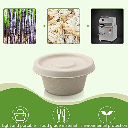 Brown 2oz Bagasse Fiber Condiment Cups with Lids - 100 Sets