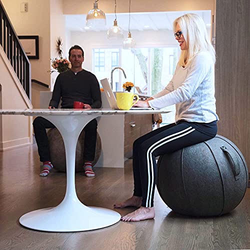 Vivora Luno Premium Ergonomic Sitting Ball Chair - Anthracite, 25-26 Inch Yoga Balance Seat for Posture & Home Office