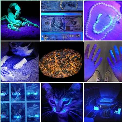 UV Flashlight Rechargeable 365nm Black Light for Pet Urine Detection,Small Ultraviolet Flashlight for Resin Curing,Rocks and Minerals,High Definition Pure Ultraviolet£¨Battery Included£©
