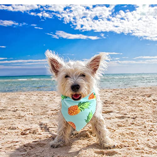 Dog Cooling Bandana - 4 Pack Hawaiian Tropics Large Strawberry Style