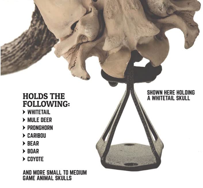 European Trophy Mounting Bracket for Medium Game Skulls - Fully Adjustable