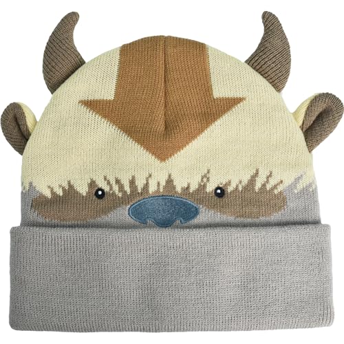 Avatar The Last Airbender Knitted Winter Beanie Hat Multi One Size - Concept One