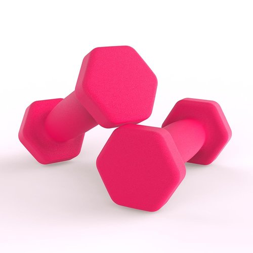 TIECHI Neoprene Dumbbells Set Women Pair Home Exercise for Women Men Arm Pilates Dumbbells in 3.3LB