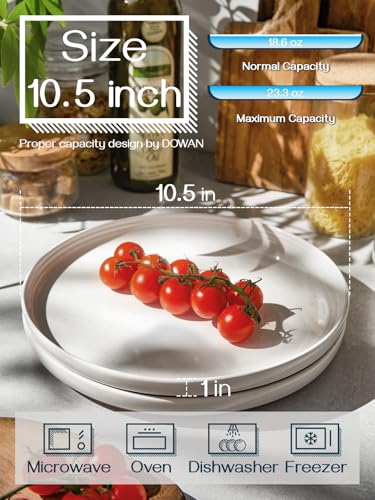 10.5 Inch Large Dinner Plates Set of 6 - White Ceramic, Microwave & Dishwasher Safe